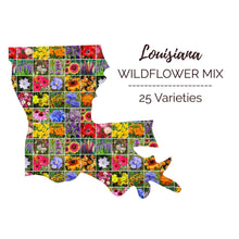 Graphic of the outline of the state for Louisiana Wildflower Seed Mix that contains images of the flowers in the mix