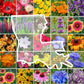 louisiana wildflower seed mix