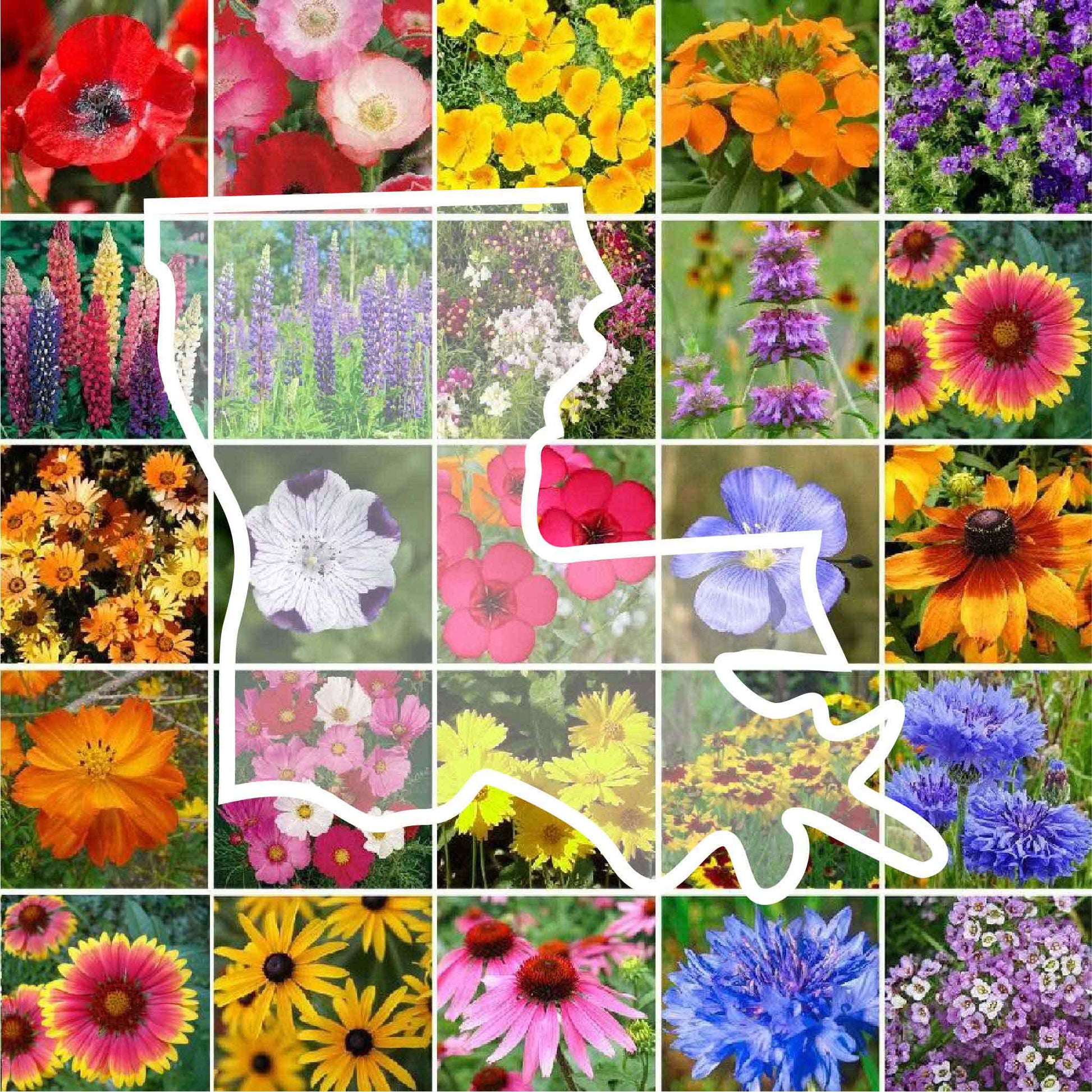 louisiana wildflower seed mix