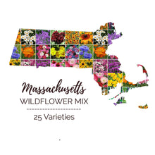 Graphic of the outline of the state for Massachusetts Wildflower Seed Mix that contains images of the flowers in the mix