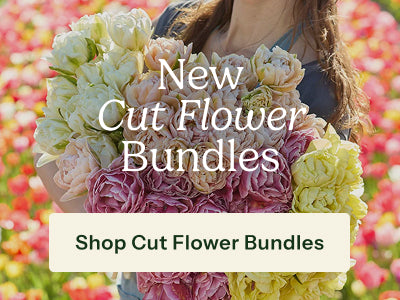 A woman in a flower field holds a large bouquet of pastel cut flowers, including cream, pink, and yellow blossoms. Large overlaid text reads 'New Cut Flower Bundles' with a button below reading 'Shop Cut Flower Bundles.