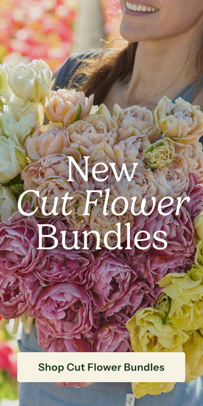 A close-up of a person holding a large bouquet of cut flowers, including pink, peach, cream, and yellow blossoms, with overlaid text reading 'New Cut Flower Bundles' and a button that says 'Shop Cut Flower Bundles.'.