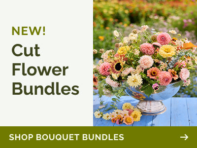 collections bundle-save banner