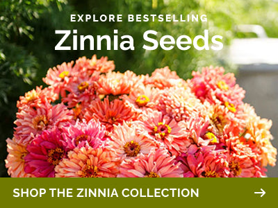 idaho wildflower seed mix Idaho Wildflower Seed Mix | Wildflower Seeds