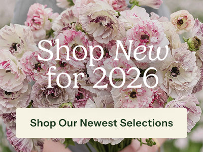 Pink peony flowers with green foliage and overlaid text reading 'Explore New Tree Peonies' and a 'Shop the Collection' button.