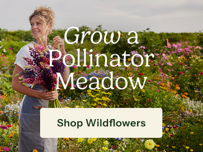 A woman in a white shirt and gray apron stands in a colorful wildflower meadow holding a bouquet of purple and pink flowers, with large overlaid text reading 'Grow a Pollinator Meadow' and a button that says 'Shop Wildflowers'.