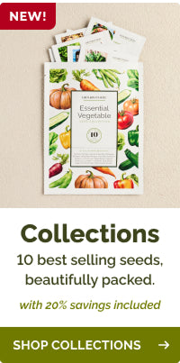 collections seed-collections banner
