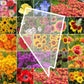 nevada wildflower seed mix