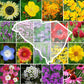 south carolina wildflower seed mix