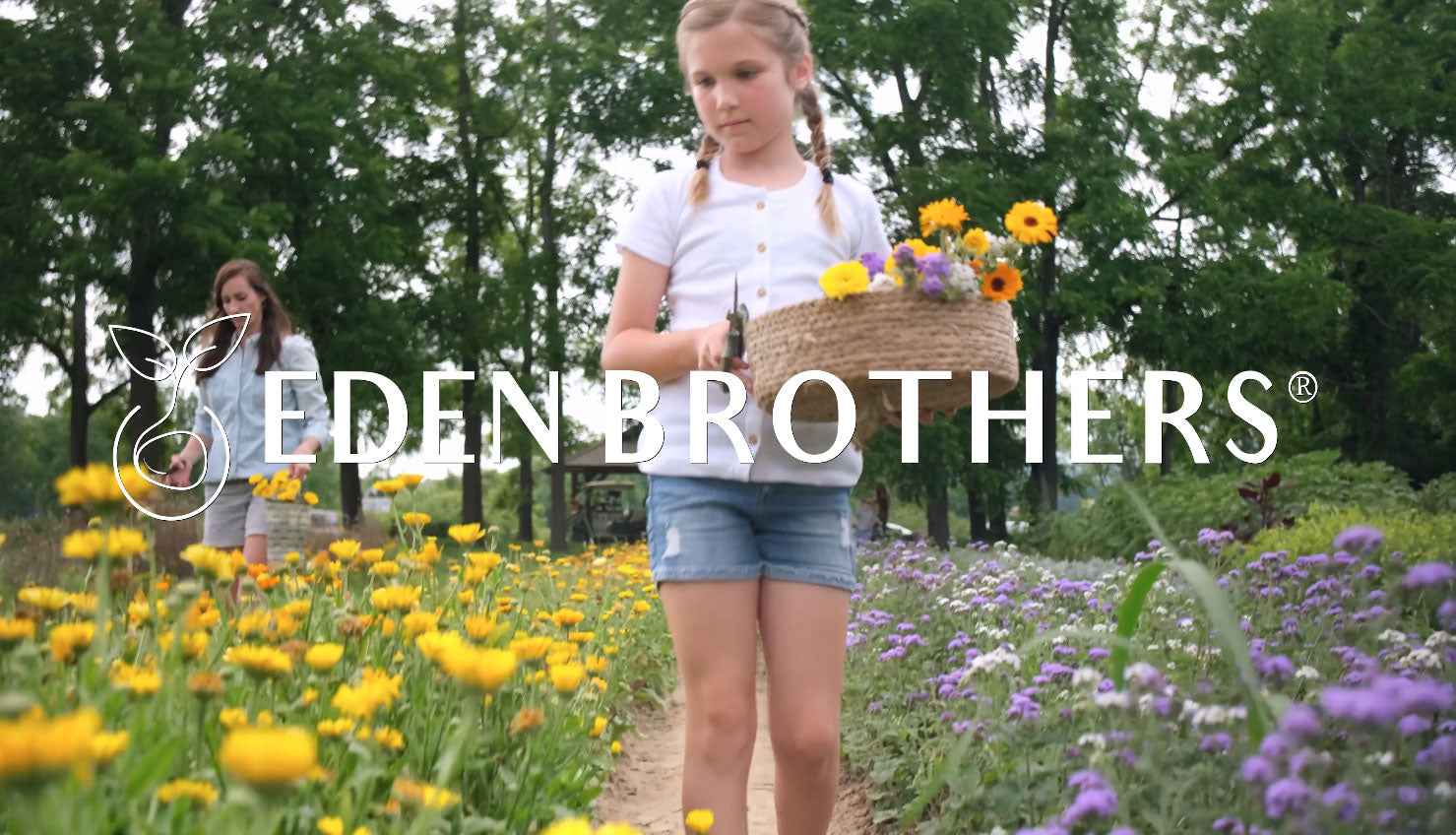 About Us Eden Brothers