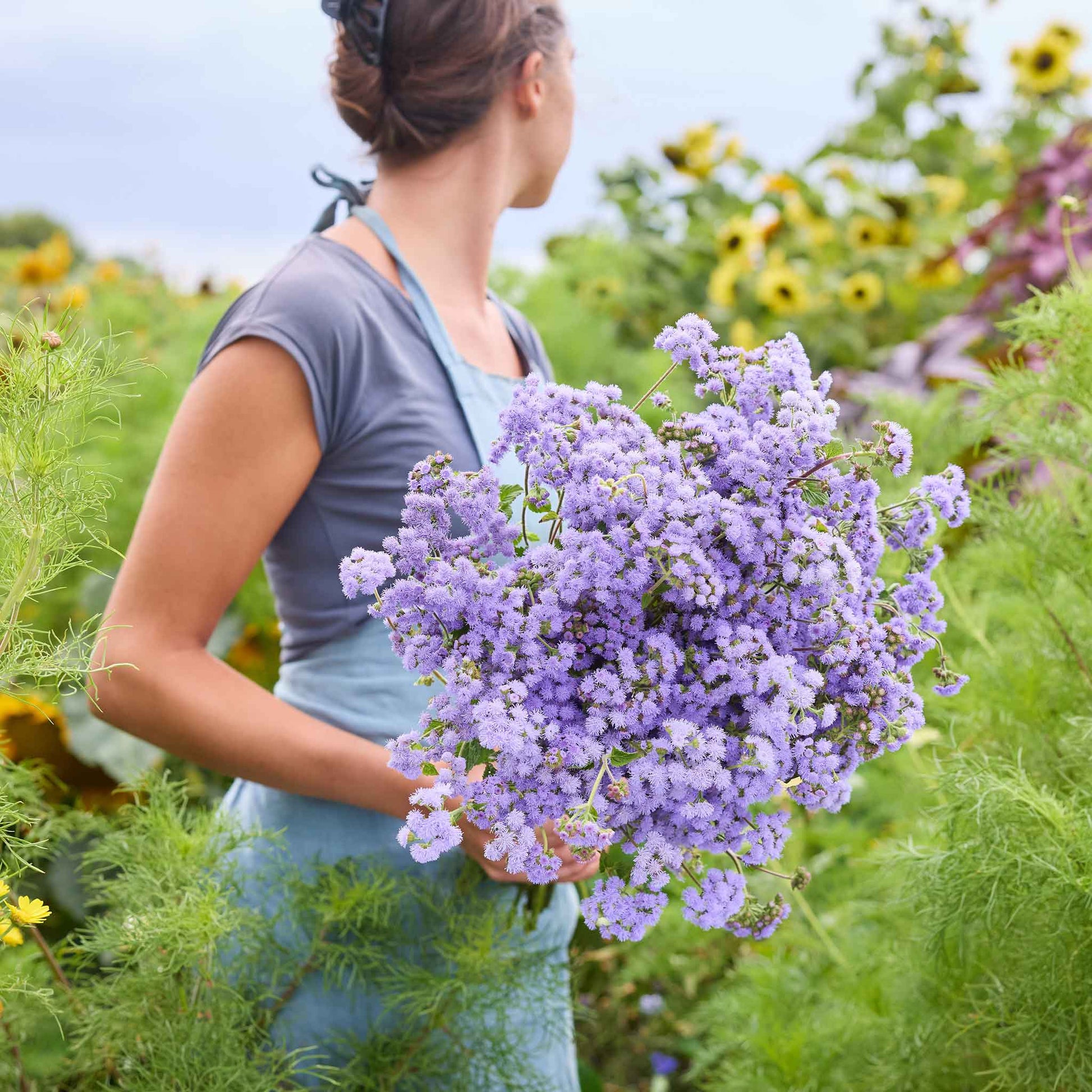 Woman holding a bouquet of purple Ageratum flowers in a natural setting.