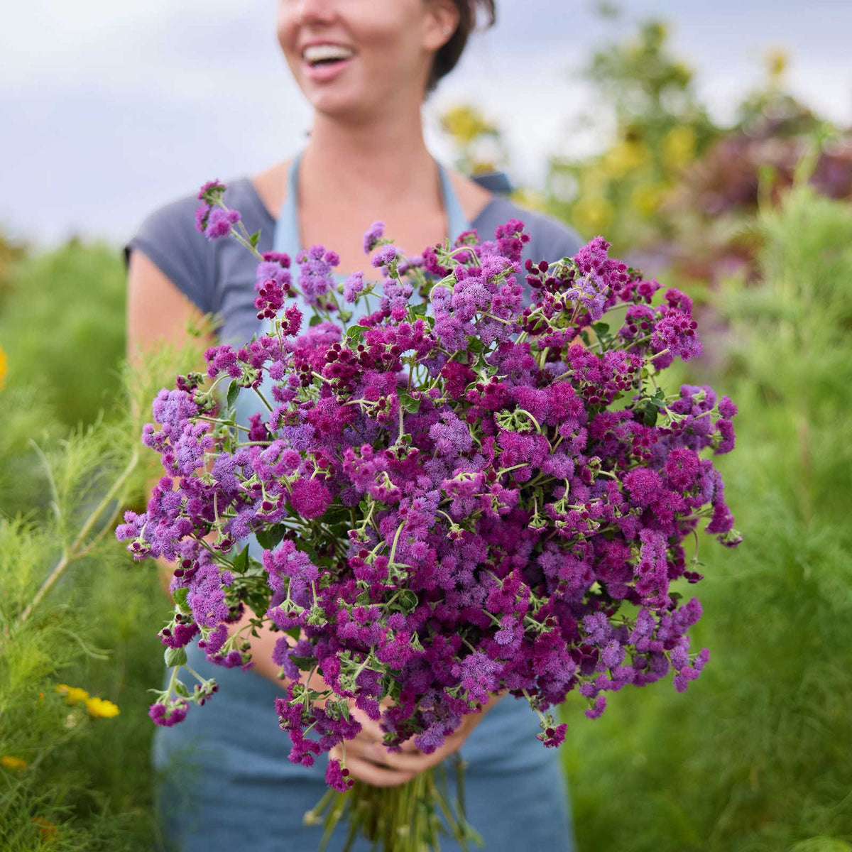 A person holding a bouquet of ageratum red flint in a natural setting