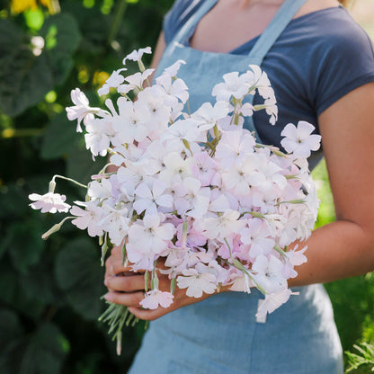 A person wearing a blue apron over a dark blue shirt holds a large bouquet of pale pink and white agrostemma flowers outdoors in front of green foliage.