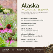 A visual overview of the wildflower seed mix, showcasing expected floral blooms.