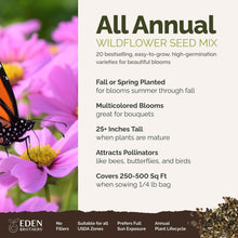 A visual overview of the wildflower seed mix, showcasing expected floral blooms.
