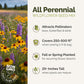 Wildflower seed mix advertisement with field of flowers on the left and text on the right.