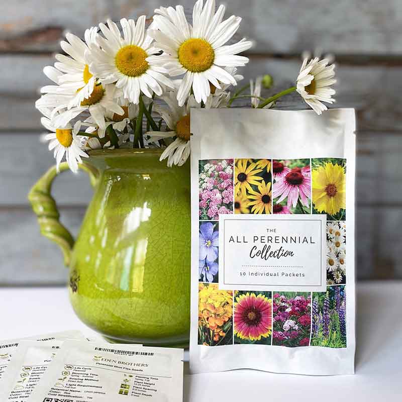  Eden Brothers All Perennial Wildflower Mixed Seeds