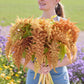 Person holding a large bouquet of amaranth Autumn Touch with a blurred natural background