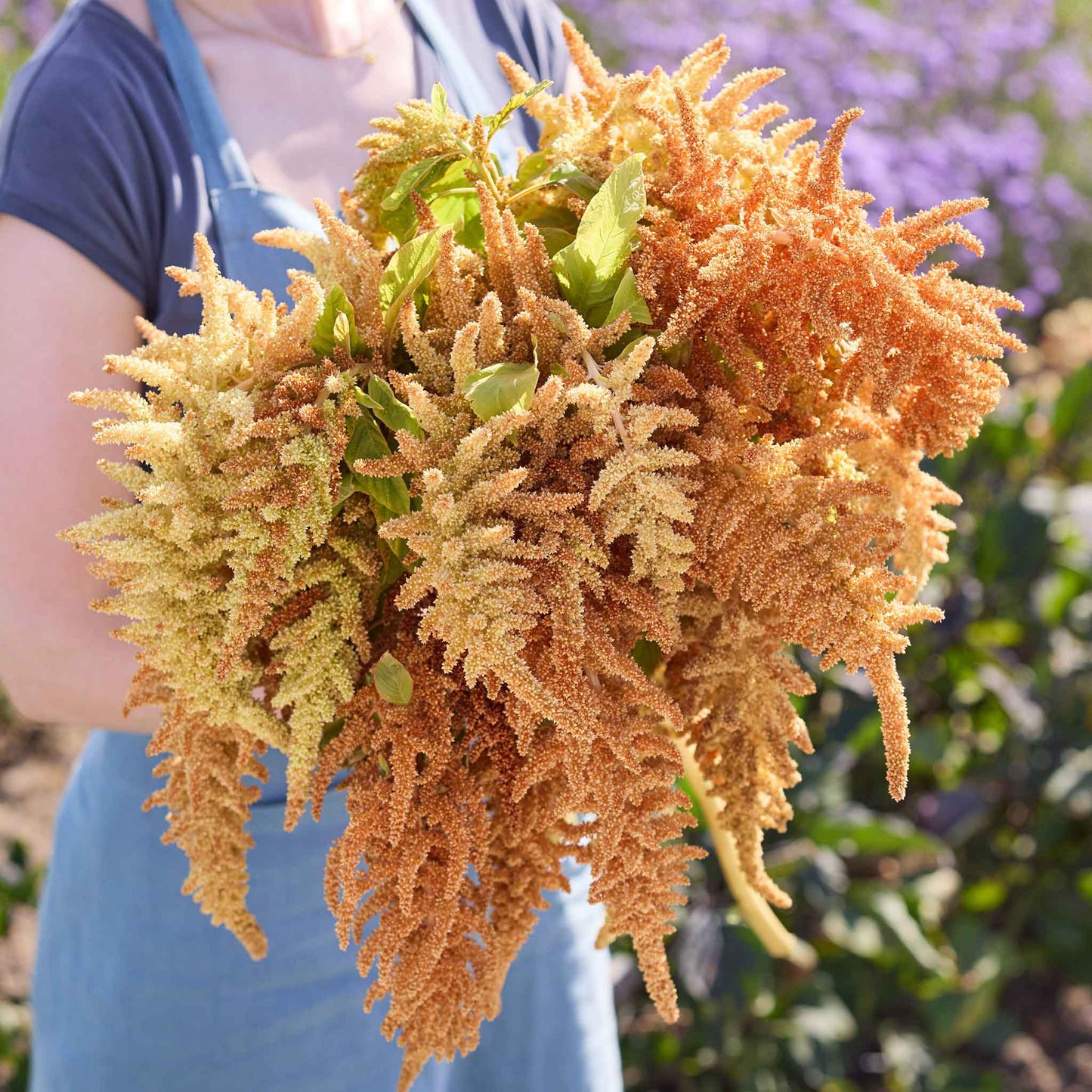 Bouquet of Autumn's Touch amaranthus with a blurred natural background