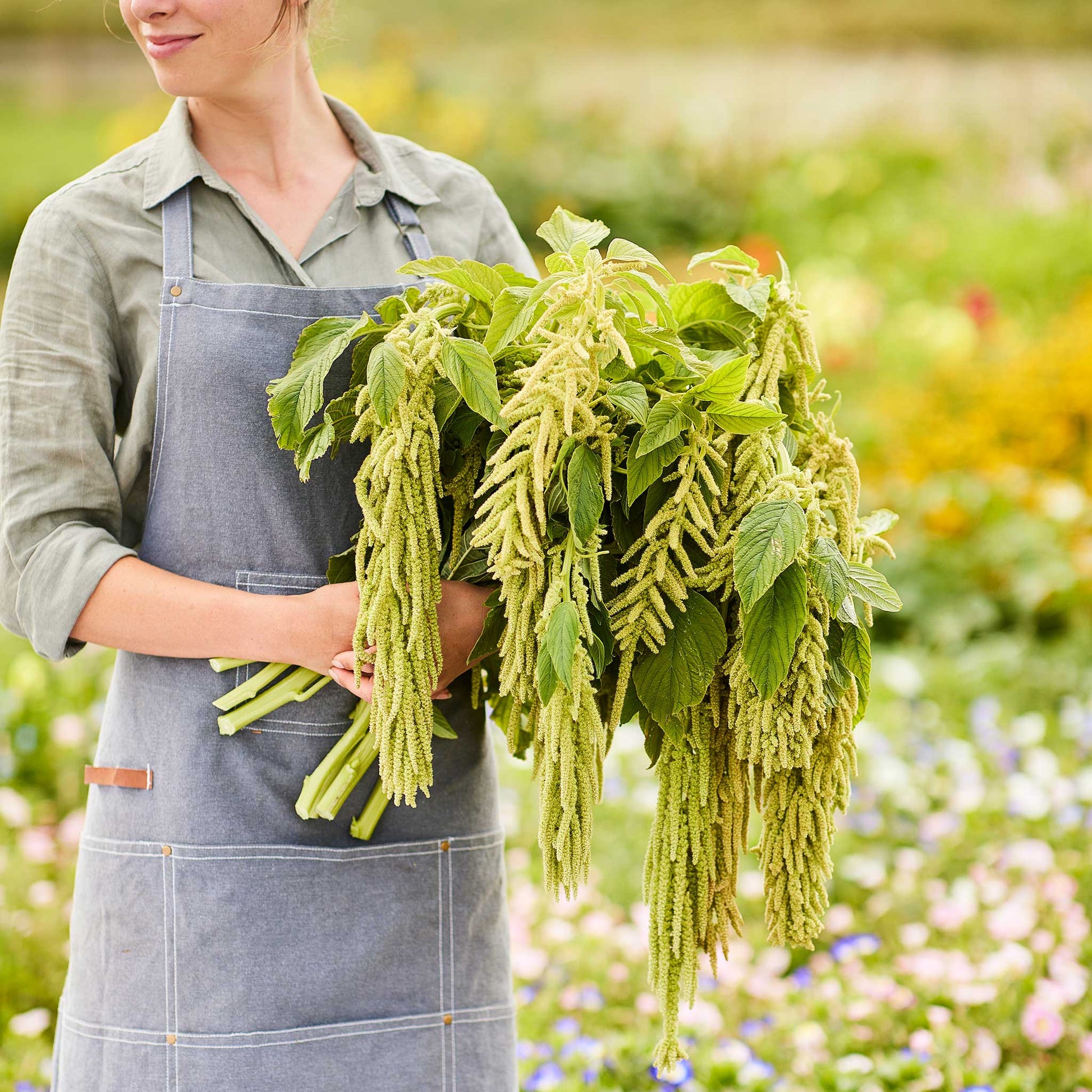 Person holding a bundle of green amaranths in an outdoor setting