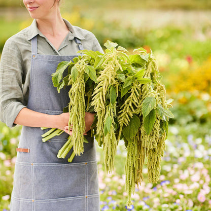 Person holding a bundle of green amaranths in an outdoor setting