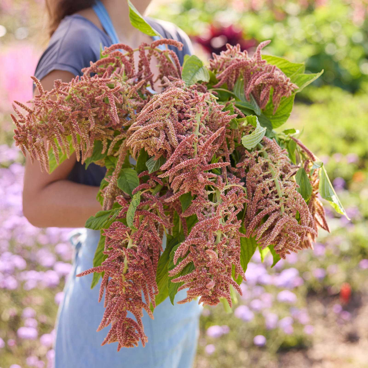 A person holding a bouquet of amaranthus coral fountan in a natural setting