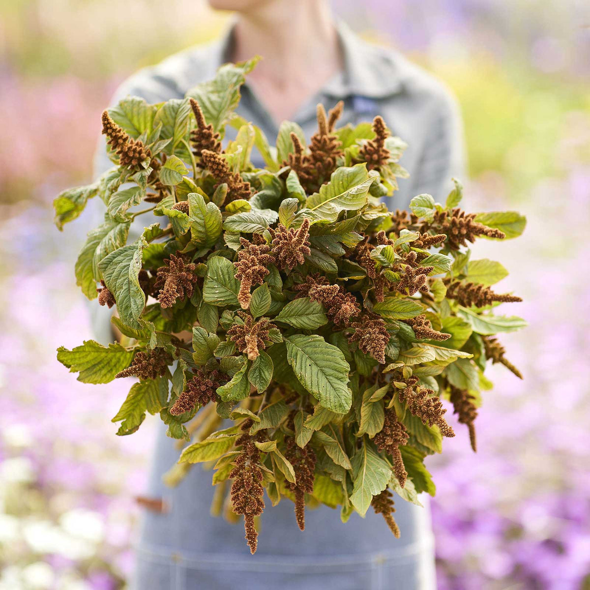 A person holding a bouquet of amaranthus hot biscuits in a blurred natural setting