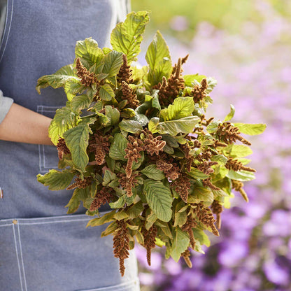A person holding a bouquet of amaranthus hot biscuits in a natural setting