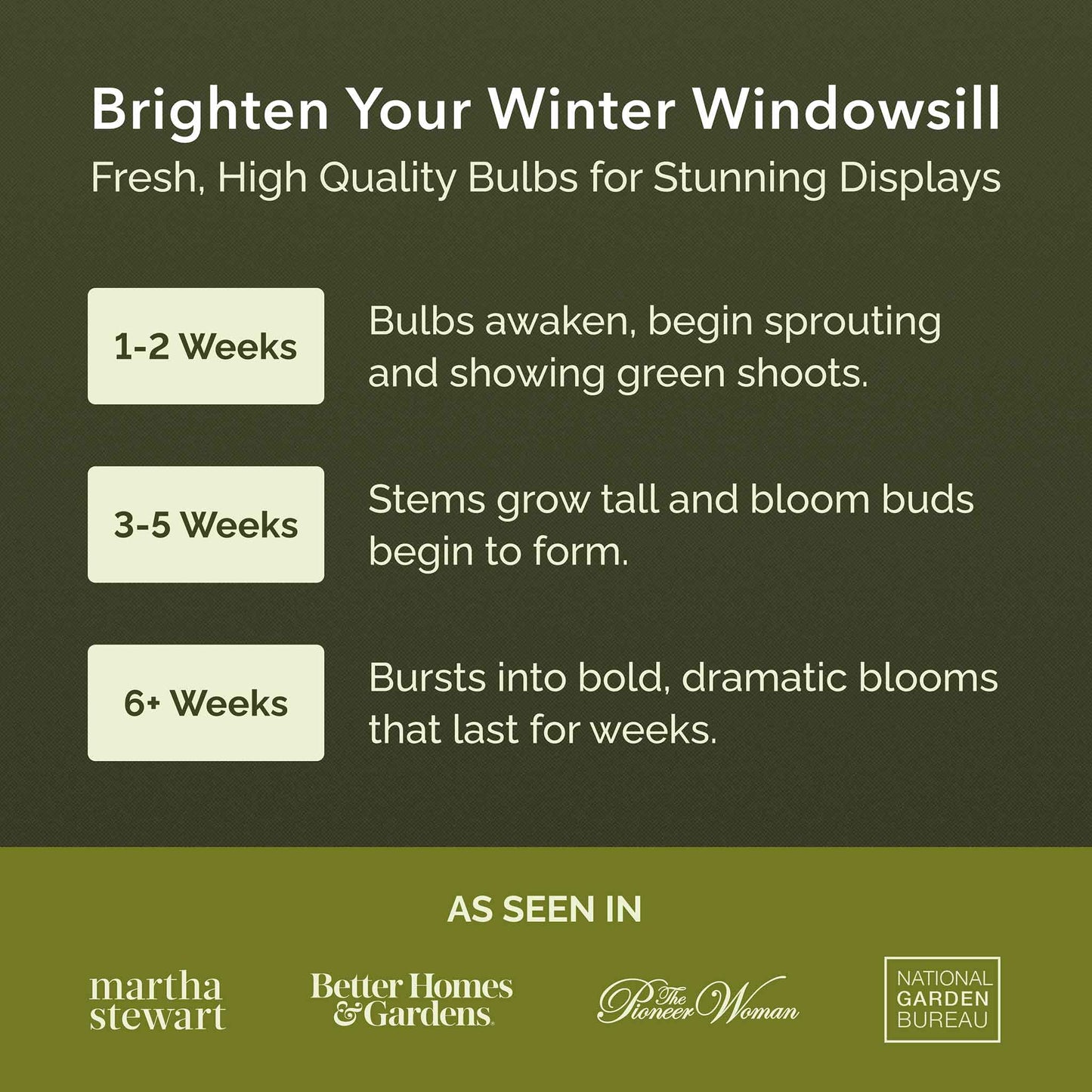 Promotional graphic for gardening bulbs with growth stages and brand endorsements.