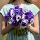Anemone Bulbs - Midnight Mix