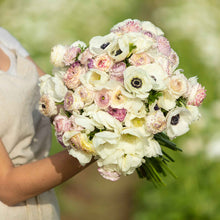 A vibrant mix of pink, purple, and white anemone and ranunculus Alpine Mix flowers in full bloom.