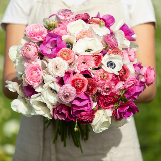 anemone and ranunculus moment in time mix