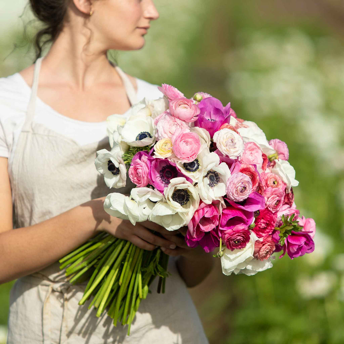 Anemone Ranunculus Anemone & Ranunculus - Moment in Time Mix | Fall Flower Bulbs | Eden ...