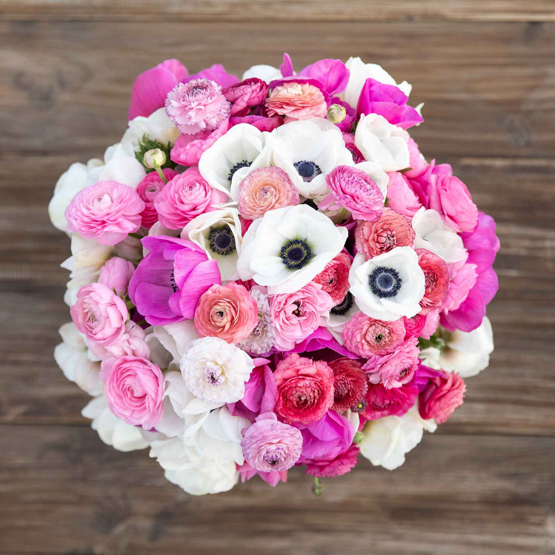Anemone Ranunculus Anemone & Ranunculus - Moment in Time Mix | Fall Flower Bulbs | Eden ...