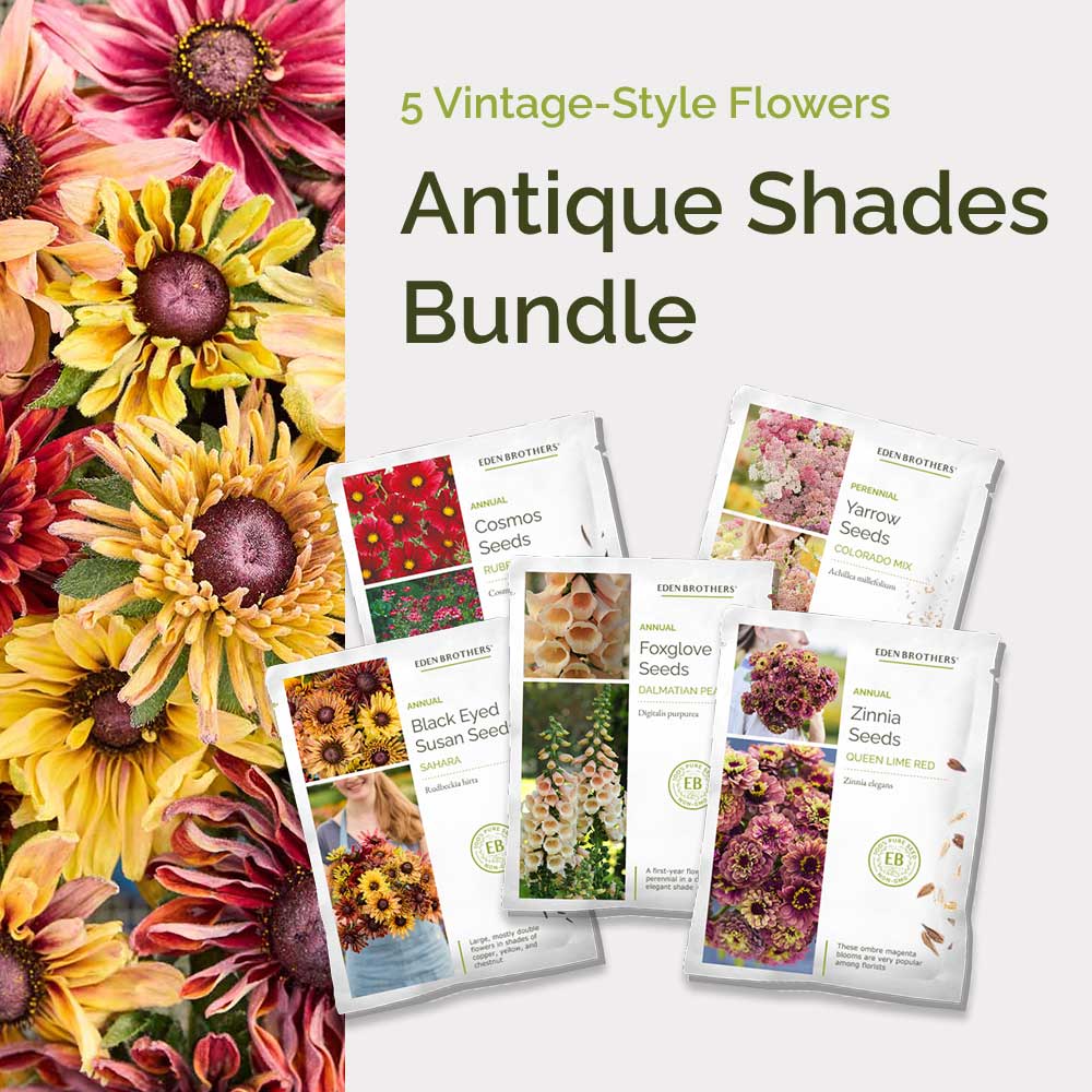 Graphic of antique shades bundle pack displaying a product image and contents of the bundle.