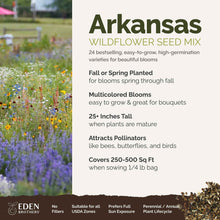 A visual overview of the wildflower seed mix, showcasing expected floral blooms.