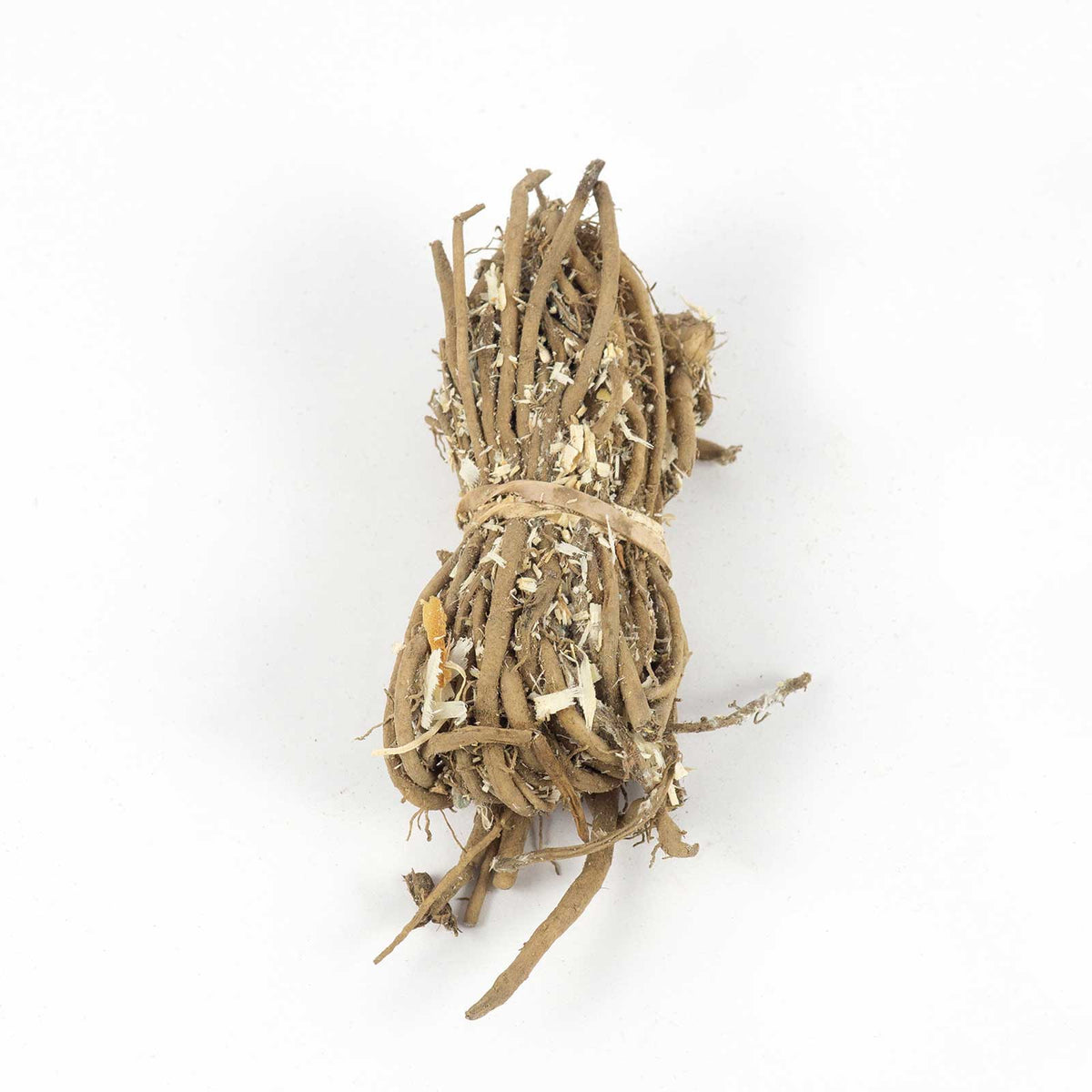 Bundle of asparagus bare roots ready for shipping on a white background