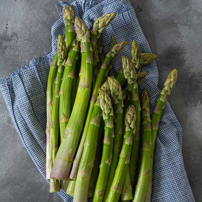 A cluster of asparagus crowns jersey knight on a blue checked cloth with a neutral background