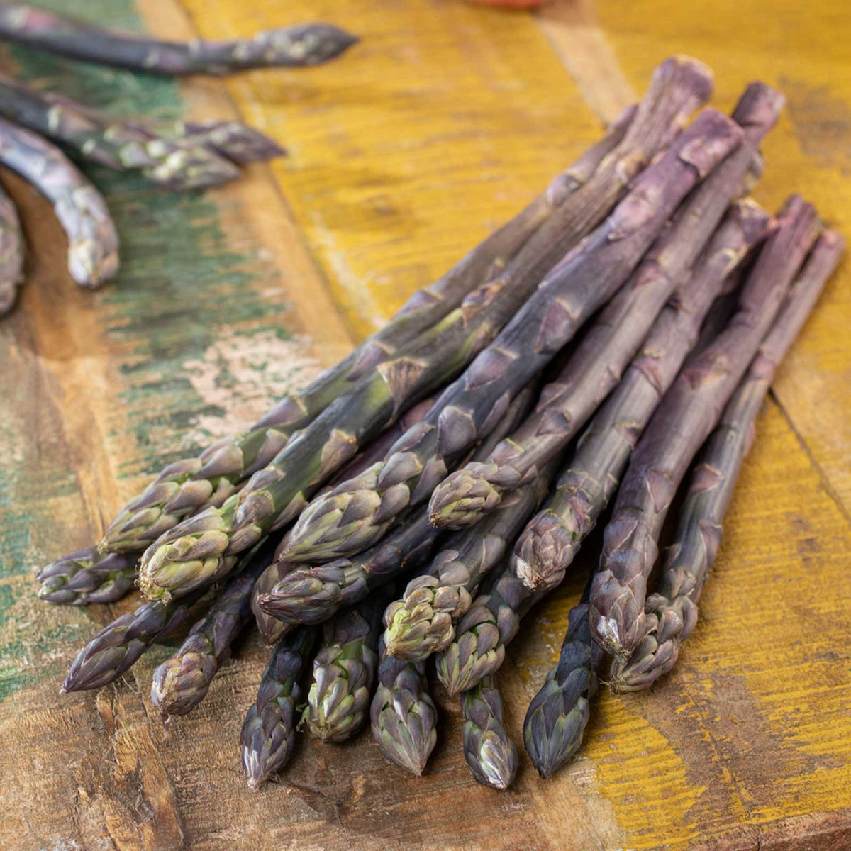 Bundle of purple passion asparagus crowns freshly harvested on a wooden table.