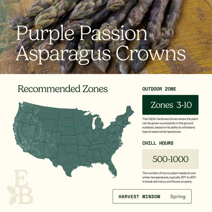 Graphic showing the recommended growing zones for asparagus crowns
