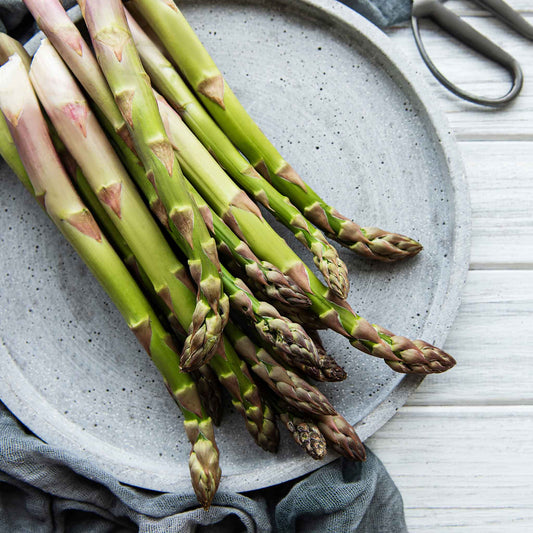 Asparagus Seeds - Mary Washington
