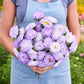 Person holding a bouquet of china aster duchesse blue white flowers in a garden setting