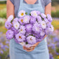 Person holding a bouquet of china aster duchesse blue white flowers in a garden setting