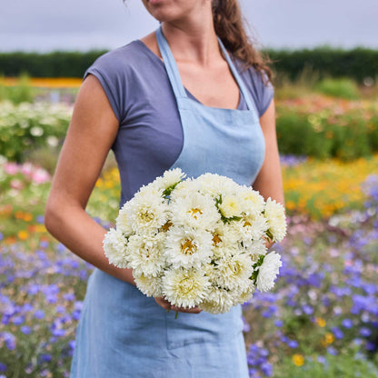 Person holding a bouquet of china aster duchesse rose white flowers in a garden setting