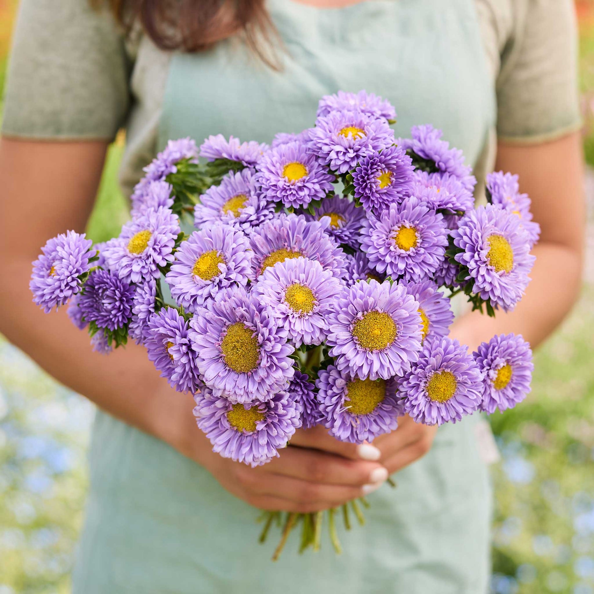 A person holding a bouquet of china aster matsumoto light blue flowers in a garden setting