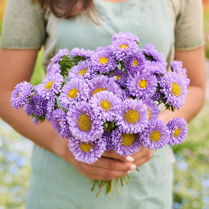 A person holding a bouquet of china aster matsumoto light blue flowers in a garden setting