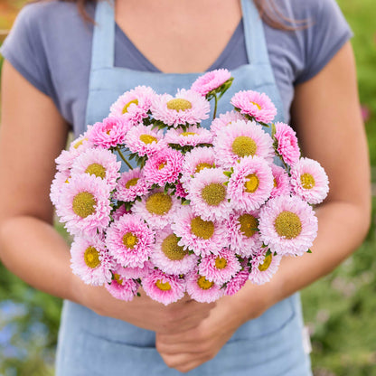 Person holding a bouquet of china aster matsumoto pink flowers with a blurred green background