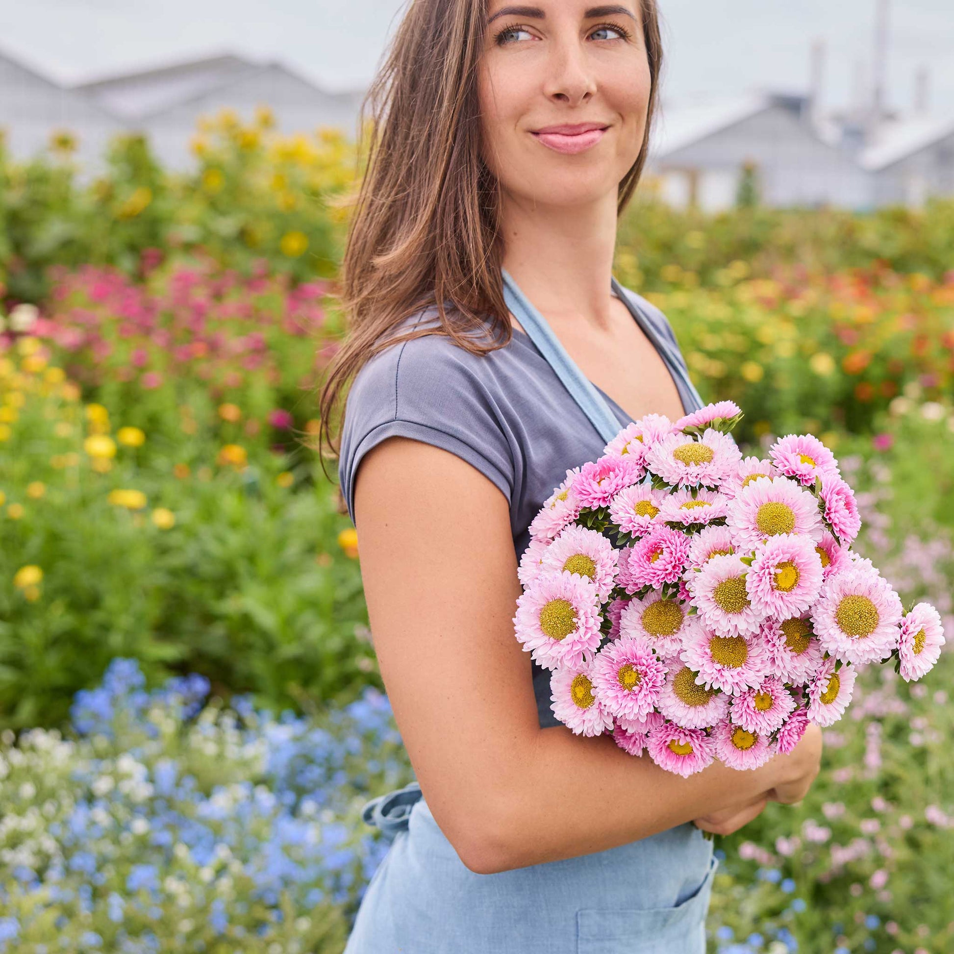 Person holding a bouquet of china aster matsumoto pink flowers with a blurred green background