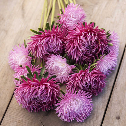 A bouquet of china aster pavlova white lilac flowers on a wooden table