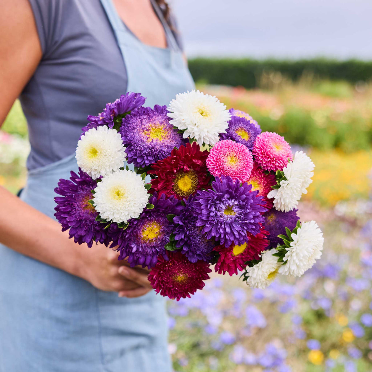 A person holding a bouquet of aster powderpuff mix  in a natural setting